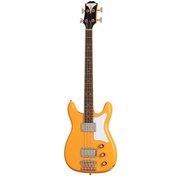 Resim Epiphone Newport 4 Telli Bas Gitar (California Coral) 