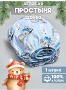 Resim Eppel Store Yeni Doğanlar İçin Lastikli 120x60 Çarşaf 103319667 