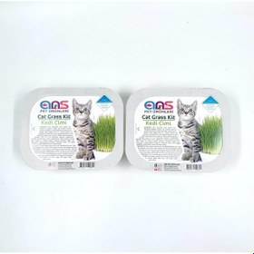 Resim Ans Kedi Çimi 2 Adet 