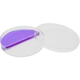 Resim Petri Kabı 90x15 MM İki Bölmeli Steril Petri Kutusu 25 Adet 