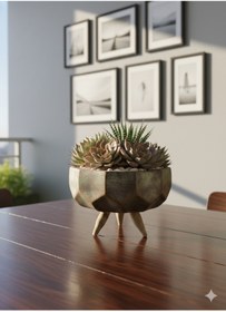 Resim Alba Home Decor Sukulent kaktüs ahsap ayaklı saksı 