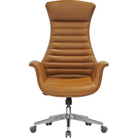 Resim Uzayofismobilyaları Uzay Ofis Odin Müdür Koltuğu - Taba 