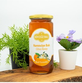Resim Köyceğiz Balı Narenciye Balı Cam Kavanoz 660 G 