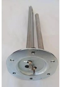 Resim Regal Uyumlu Anot Çubuklu Rezistans , Termosifon Titanyum Rezistansı 2000 Watt 