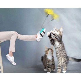 Resim Has Kedi Oyuncagı Ayak Oltası 