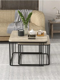 Resim Uslucan Alışveriş Orta Sehpa İkili Alize Traverten Çok Renkli 