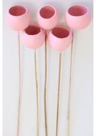 Resim Dekoratif Bell Cup 5li Tropic Kabak Açık Pembe 