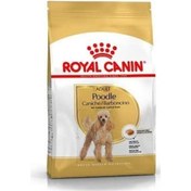 Resim Royal Canin Adult Poodle Küçük Irk Yetişkin Köpek Maması 3 KG 