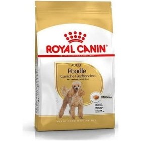 Resim Royal Canin Adult Poodle Küçük Irk Yetişkin Köpek Maması 3 KG 