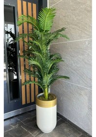 Resim Rüzgar Yapay Çiçekçilik Darbuka Saksıda Areka Ağacı Yeşil 