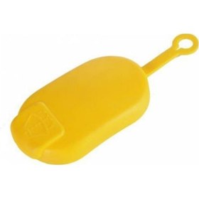 Resim Space Renault Megane 1 1995-2002 Cam Su Fiskiye Depo Kapagi 497605973 