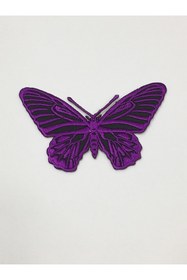 Resim karantuhafiye Ütü Ile Yapışan Kelebek Arma 