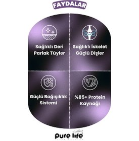 Resim Purelife Plus Stick Kuzu Etli Kedi Ödül Çubukları 12 x 15 G 