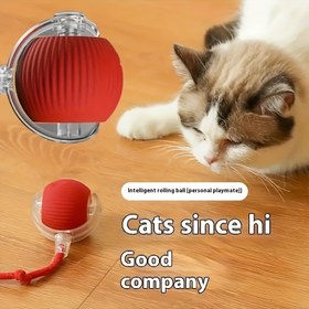Resim 1pc WhiskerWonders USB Şarj Edilebilir Etkileşimli Elektrikli Kedi Oyuncak Topu ile Ses, Dayanıklı Isırma Dirençli Plastik, Tüm Irk Boyutları için Tüm Gün Oyun, ≤36V Lityum Bataryalı 