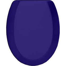 Resim Rona Tisa Parlak Lacivert Thermoplast Standart Klozet Kapağı (alt 
