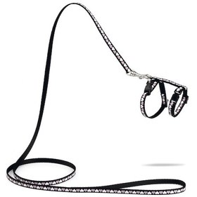 Resim Beeztees Yavru Kedi Göğüs Tasması Ve Gezdirme Kayışı 120cm, Siyah, 16-25cm Boyun, 23-36cm Göğüs 