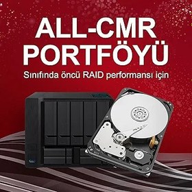 Resim Seagate IronWolf Pro, 10 TB, Kurumsal NAS Dahili Sabit Disk HDD – CMR 3,5”, SATA 6 Gb/sn, 7200 Devir/Dakika, 256 MB Önbellek, RAID Ağa Bağlı Depolama için, Rescue Hizmetleri (ST10000NT001) 