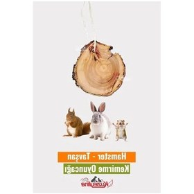 Resim Tavşan Ve Hamsterlar İçin Kemirme Oyuncağı, Eğlenceli Ve Dayanıklı 