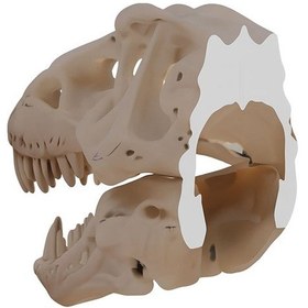 Resim T-rex Kafası Duvar Dekoru 