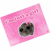 Resim hediyenebak I'm Just A Girl Özel Tasarımlı Araba Araç Magneti 15x20 cm 