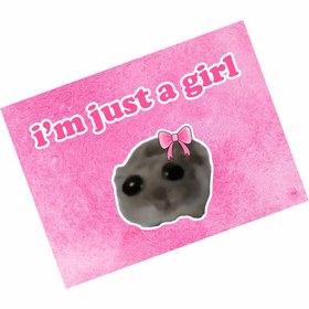Resim hediyenebak I'm Just A Girl Özel Tasarımlı Araba Araç Magneti 15x20 cm 