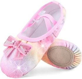 Resim DANSHOW Kız Bale Ayakkabıları Bölünmüş Taban Parlak Düz Dans Ayakkabıları Çocuklar İçin Bale Terlikleri (WX55-21-28) 28 AVRUPA BİRLİĞİ 