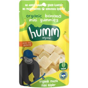 Resim HUMM Organik Glutensiz Vegan Muzlu Mini Küpler 30g 