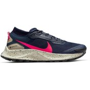 Resim Nike Pegasus Trail 3 Gore-tex Dc8793-401 Erkek Spor Ayakkabısı 