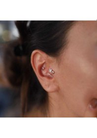 Resim Yılan Tragus Piercing Rose 