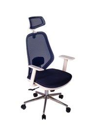 Resim Ofisbazaar Dali Beyaz Fileli Yönetici Koltuğu Ergonomik Başlıklı Ofis Koltuğu Lacivert Lacivert 