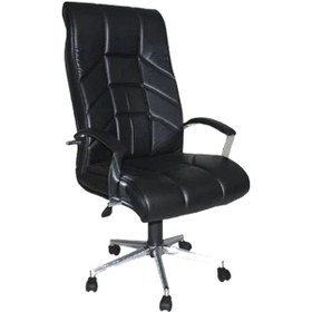 Resim Koltukstilim İtalo Makam Koltuğu Diğer 