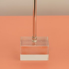 Resim 2'li Kristalli Deniz Topu Gümüş 