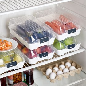 Resim Dünya Plastik Kilitli Buzdolabı Organizer Kutu 