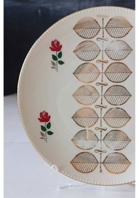 Resim Nurantik Winterling Röslau Alman Pasta Tabağı Renkli 