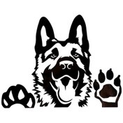 Resim Camdan Bakan Kurt Köpeği Tasarım Sticker Oto-motor-laptop-duvar-dekor 20 X 18 Cm 