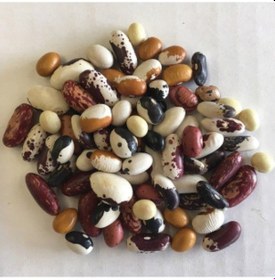 Resim Geleneksel Mixed Fasulye Tohumları 10 Tohum 
