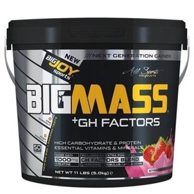 Resim BigJoy Sports Bigmass +GH Factors Çilek 5 kg 