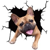 Resim papri 3d hayvan desenli pitbull köpek figürlü sticker etiketi 