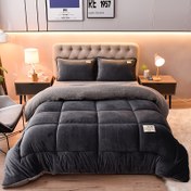 Resim 1 Adet Rahat Süt Polar Kışlık Yorgan - Alternatif Tüy Dolgulu, Makinede Yıkanabilir, Modern Minimalist Yatak Odaları İçin Her Mevsim Konforu, Rustik Tarz Dekor, Peluş Dokusu 