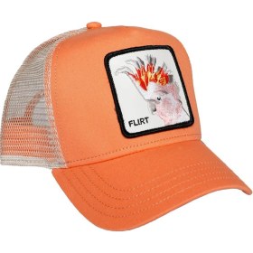 Resim Goorin Bros Big Flirt Unisex Şapka 101-0686 Pembe 