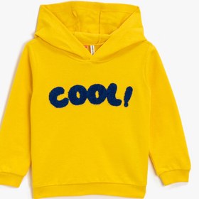 Resim Erkek Bebek Kapüşonlu Sweatshirt İşleme Detaylı 