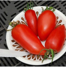 Resim 20 Adet Federle Domates Tohumu 