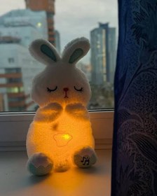 Resim Sevimli Tavşan Nefes Alan Uyku Arkadaşı 8976 