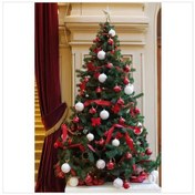 Resim En Büyük 210Cm Bol Süslü Işıklı Ledli Çelk Ayk Yılbaşı Çam Ağa... 