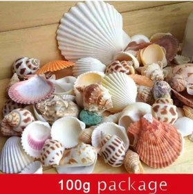 Resim Xindoker Doğal Deniz Kabuğu Seti - Akvaryum Dekoru Ve Dıy Projeler İçin 100g 30-35 Adet 