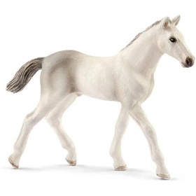 Resim Schleich Holsteiner Tay 13860 