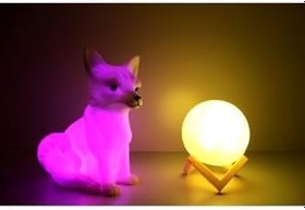 Resim Işık kasabası(78) Kar tilkisi ve 3D LED küre gece lambası Rcb 