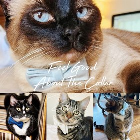 Resim Cat Collar Velvet Named Bell Cat Collar 649724 - Avocado Leash + Bow Tie / S/M 