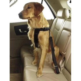 Resim Evcil Hayvan Araç Emniyet Kemeri Kedi Köpek Araba Oto Tasması Oto Aksesuarları (Siyah) 