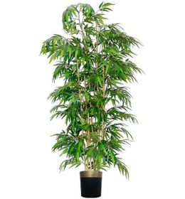 Resim Bambu Ağacı 15'li Yeşil 